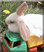Name:  large.jpg
Views: 145
Size:  13.3 KB