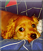Name:  large (1).jpg
Views: 229
Size:  15.1 KB