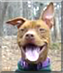 Name:  large.jpg
Views: 212
Size:  10.2 KB