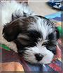Name:  large (1).jpg
Views: 194
Size:  12.7 KB