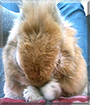 Name:  large.jpg
Views: 161
Size:  12.9 KB