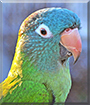 Name:  large (1).jpg
Views: 260
Size:  15.1 KB