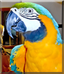 Name:  large (1).jpg
Views: 319
Size:  15.0 KB