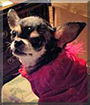 Name:  large.jpg
Views: 202
Size:  13.1 KB