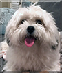 Name:  large.jpg
Views: 230
Size:  10.5 KB
