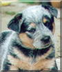 Name:  large.jpg
Views: 226
Size:  11.5 KB