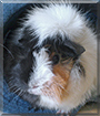 Name:  large (1).jpg
Views: 217
Size:  12.3 KB