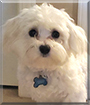 Name:  large (1).jpg
Views: 299
Size:  10.3 KB