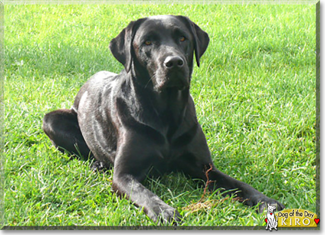 Name:  05.jpg
Views: 294
Size:  305.7 KB