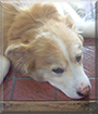 Name:  large.jpg
Views: 250
Size:  12.7 KB