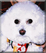 Name:  large.jpg
Views: 269
Size:  12.2 KB
