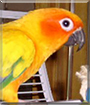 Name:  large (1).jpg
Views: 272
Size:  12.9 KB