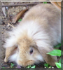 Name:  large (1).jpg
Views: 224
Size:  11.5 KB