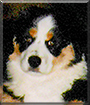 Name:  large1.jpg
Views: 152
Size:  14.5 KB