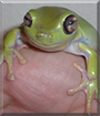Name:  large1.jpg
Views: 204
Size:  11.2 KB