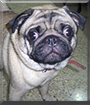 Name:  large (1).jpg
Views: 171
Size:  12.6 KB