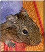 Name:  large2.jpg
Views: 302
Size:  14.2 KB