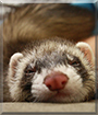 Name:  02s.jpg
Views: 169
Size:  11.0 KB