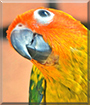 Name:  large (1).jpg
Views: 131
Size:  14.6 KB