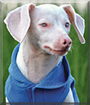 Name:  large.jpg
Views: 178
Size:  12.4 KB