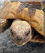 Name:  10s.jpg
Views: 127
Size:  13.7 KB