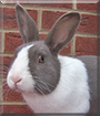 Name:  large (12).jpg
Views: 129
Size:  11.2 KB