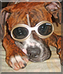 Name:  large.jpg
Views: 189
Size:  14.9 KB