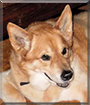 Name:  large.jpg
Views: 144
Size:  12.1 KB
