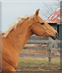 Name:  large (1).jpg
Views: 199
Size:  11.3 KB