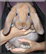 Name:  large (1).jpg
Views: 141
Size:  12.7 KB