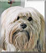 Name:  large.jpg
Views: 266
Size:  11.7 KB