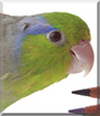 Name:  large1.jpg
Views: 428
Size:  9.3 KB