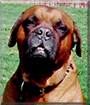 Name:  large.jpg
Views: 438
Size:  15.7 KB