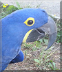 Name:  large.jpg
Views: 426
Size:  13.4 KB