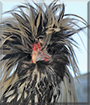 Name:  121.jpg
Views: 573
Size:  14.1 KB
