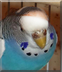 Name:  large11.jpg
Views: 577
Size:  10.4 KB
