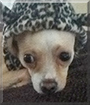 Name:  large.jpg
Views: 215
Size:  9.6 KB
