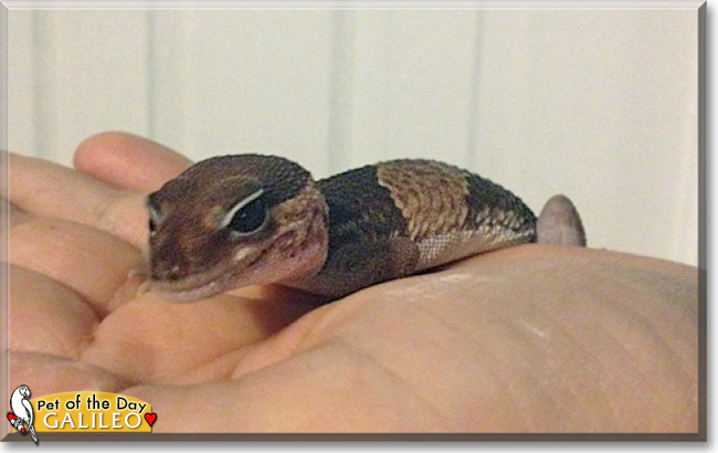 Name:  05.jpg
Views: 263
Size:  150.1 KB