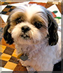 Name:  large (1).jpg
Views: 282
Size:  14.1 KB