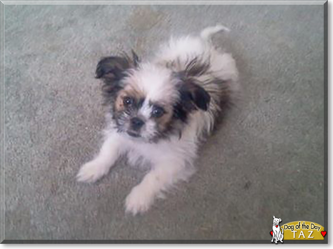Name:  19.jpg
Views: 141
Size:  122.4 KB