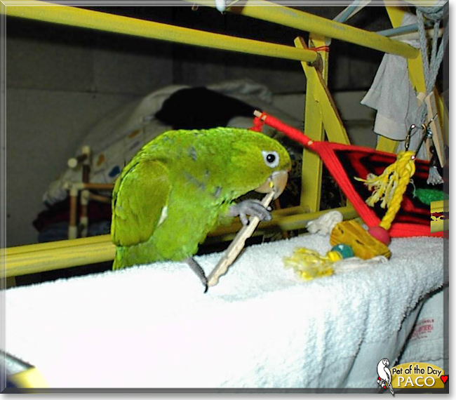 Name:  21.jpg
Views: 393
Size:  218.0 KB