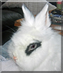 Name:  large.jpg
Views: 842
Size:  9.7 KB