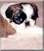 Name:  large (1).jpg
Views: 322
Size:  10.9 KB