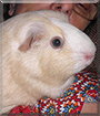 Name:  large111.jpg
Views: 168
Size:  13.7 KB