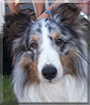Name:  large.jpg
Views: 135
Size:  12.2 KB
