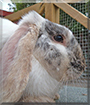 Name:  09s.jpg
Views: 118
Size:  12.7 KB