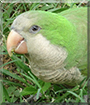 Name:  large (1).jpg
Views: 400
Size:  14.2 KB