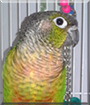 Name:  large.jpg
Views: 143
Size:  11.7 KB