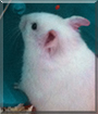 Name:  large.jpg
Views: 157
Size:  9.1 KB
