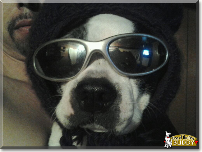 Name:  29a.jpg
Views: 133
Size:  168.0 KB